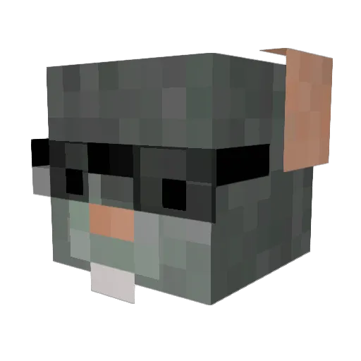 pipcio Minecraft avatar head, 3D render