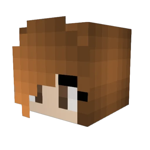 pipelines Minecraft avatar head, 3D render