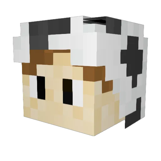 pipes104PT Minecraft avatar head, 3D render