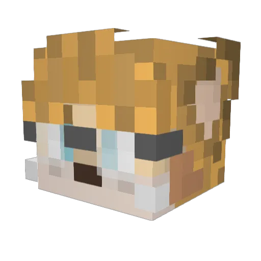 pipfatyarako Minecraft avatar head, 3D render