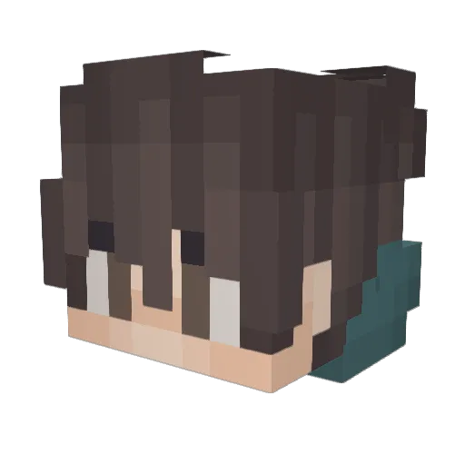 pipi194 Minecraft avatar head, 3D render