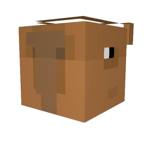 pipiloco07 Minecraft avatar head, 3D render