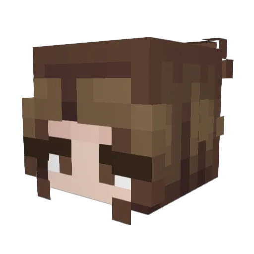 pipilux Minecraft avatar head, 3D render