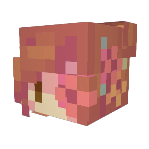 pipinek Minecraft avatar head, 3D render
