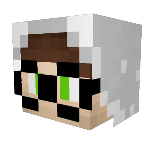 pipino12 Minecraft avatar head, 3D render