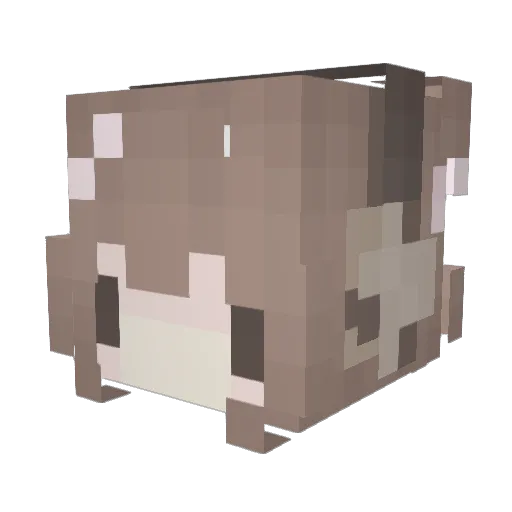 pipioooooo Minecraft avatar head, 3D render