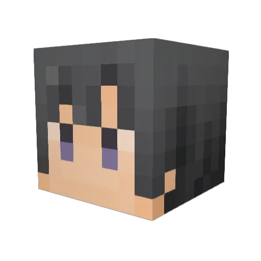 pipisuke Minecraft avatar head, 3D render