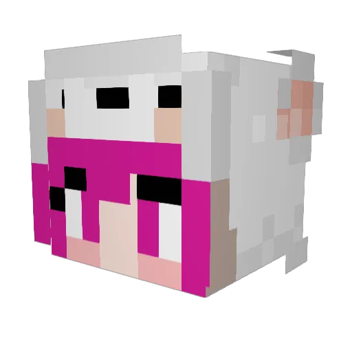 pipitouwu Minecraft avatar head, 3D render