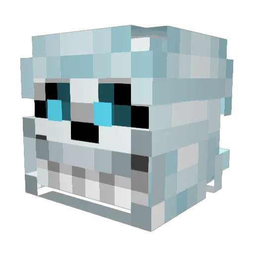 piplup79 Minecraft avatar head, 3D render