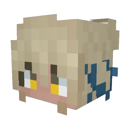 pipoca123mc Minecraft avatar head, 3D render