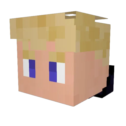 pipodafje Minecraft avatar head, 3D render