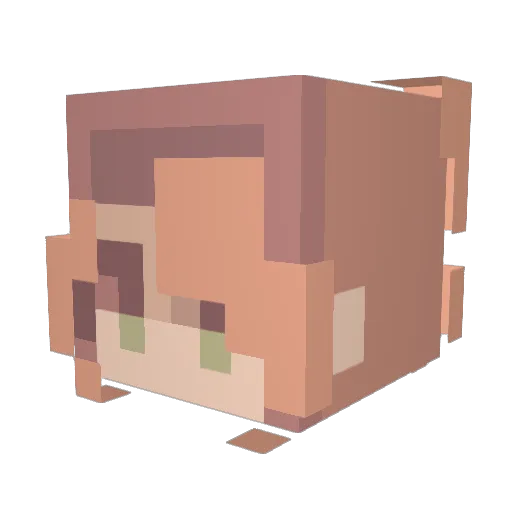 pippaaaaaaaaa Minecraft avatar head, 3D render