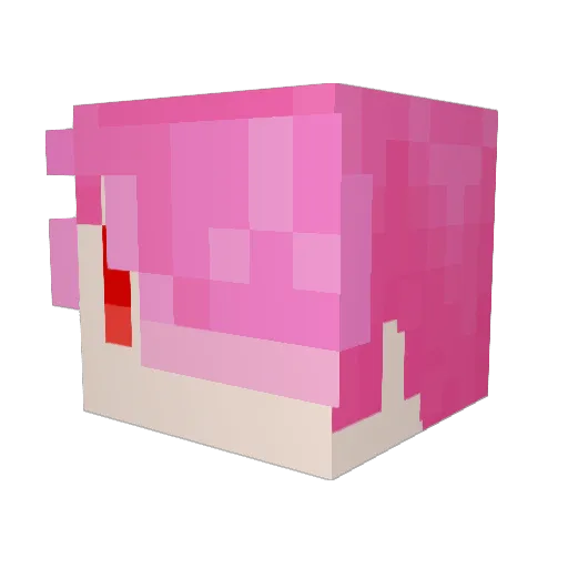 pippich Minecraft avatar head, 3D render