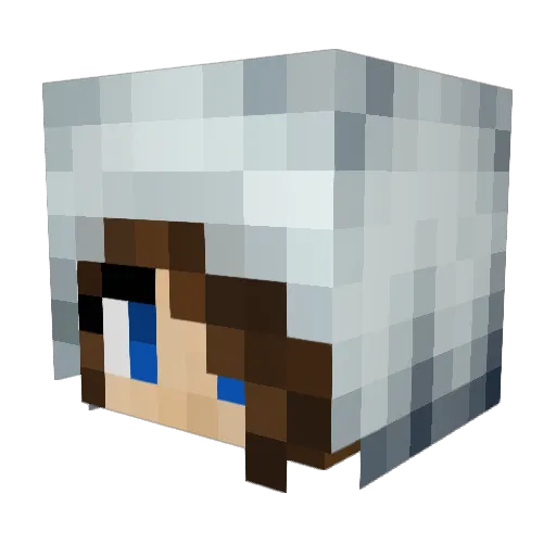 pippinme Minecraft avatar head, 3D render