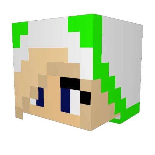 pipple88808 Minecraft avatar head, 3D render