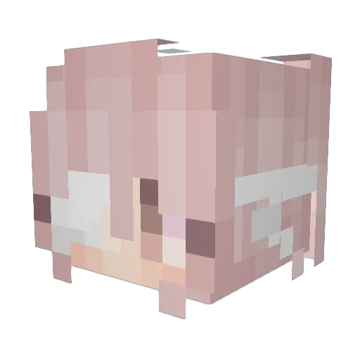 pippluppp Minecraft avatar head, 3D render