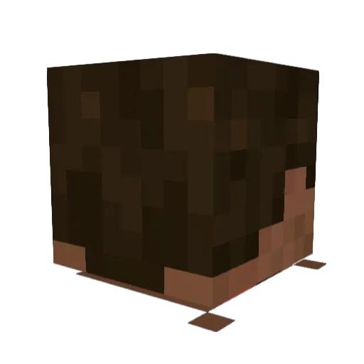 pippo_s Minecraft avatar head, 3D render