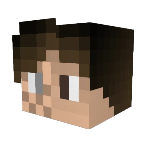 pippogames_2008 Minecraft avatar head, 3D render