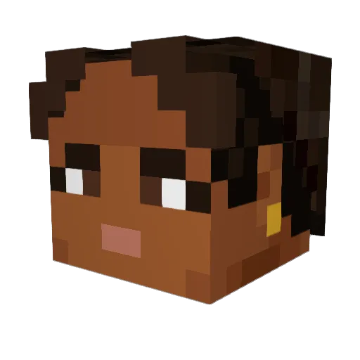 pippolino05 Minecraft avatar head, 3D render