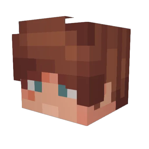 pippopappo1234 Minecraft avatar head, 3D render