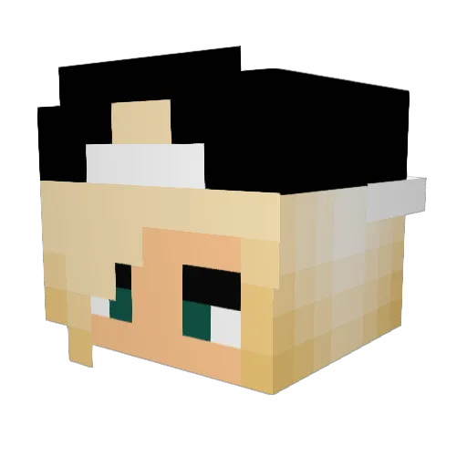 pipvansambeeck Minecraft avatar head, 3D render