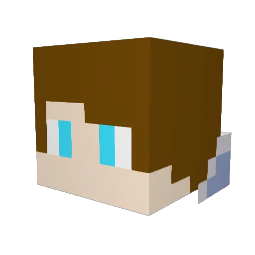 pirate1to10 Minecraft avatar head, 3D render