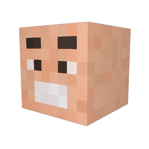 pirateBrad Minecraft avatar head, 3D render
