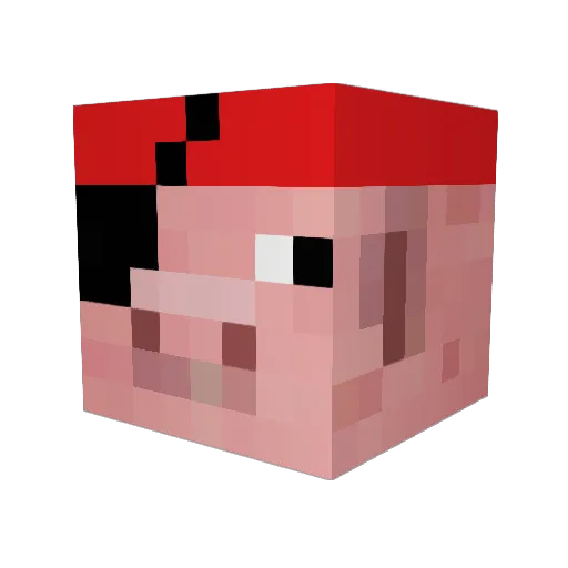piratebacon4 Minecraft avatar head, 3D render
