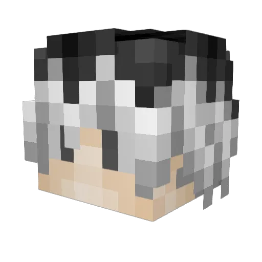 pirateyoshi Minecraft avatar head, 3D render
