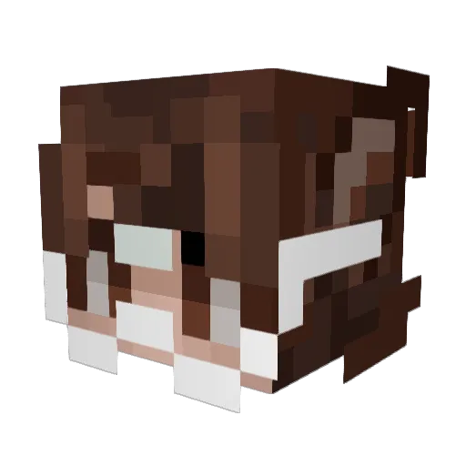 pisa121 Minecraft avatar head, 3D render