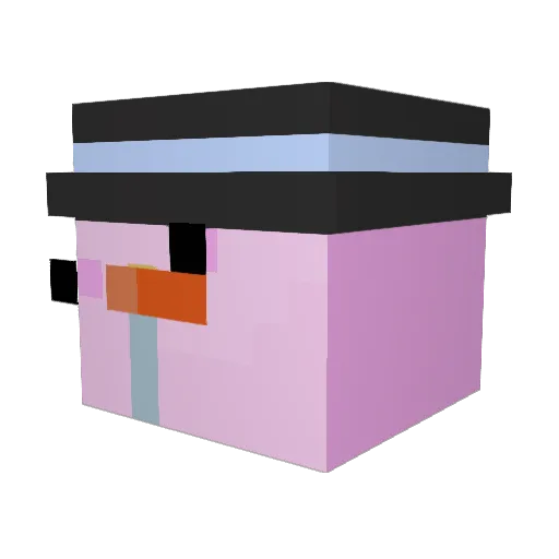 pisgi Minecraft avatar head, 3D render