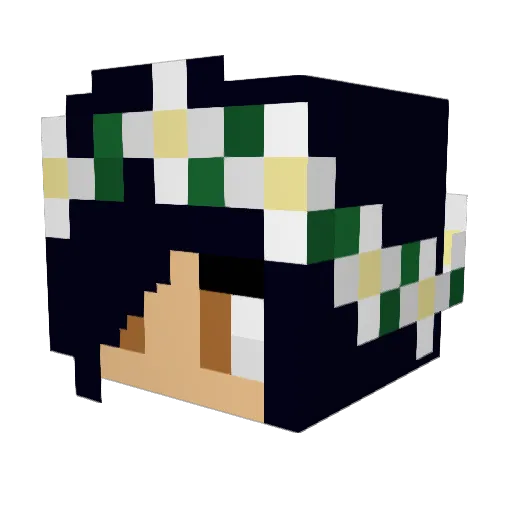 pishpish93 Minecraft avatar head, 3D render