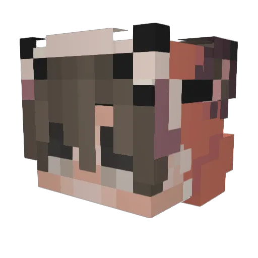 pismirism Minecraft avatar head, 3D render