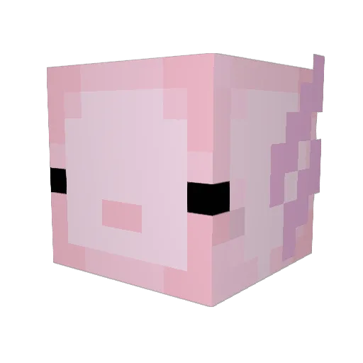 pisocere Minecraft avatar head, 3D render