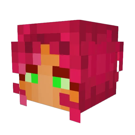 pissterr Minecraft avatar head, 3D render