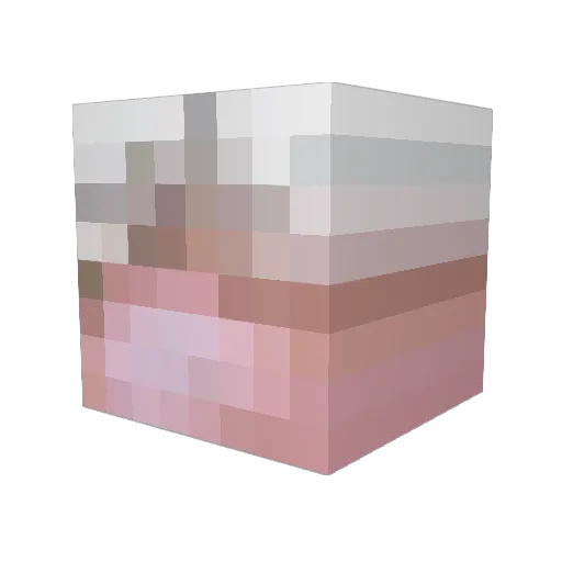 pissypamper Minecraft avatar head, 3D render