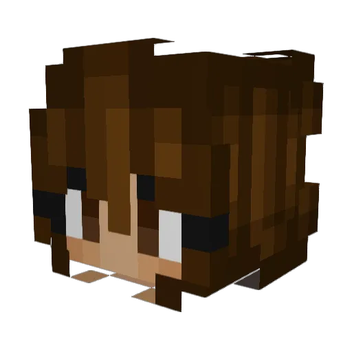 pitaIsAwsome Minecraft avatar head, 3D render