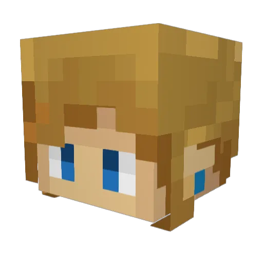 pitboss2000 Minecraft avatar head, 3D render