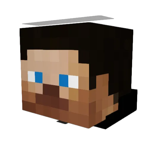 pitboy12397 Minecraft avatar head, 3D render