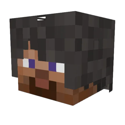 piterek12341 Minecraft avatar head, 3D render