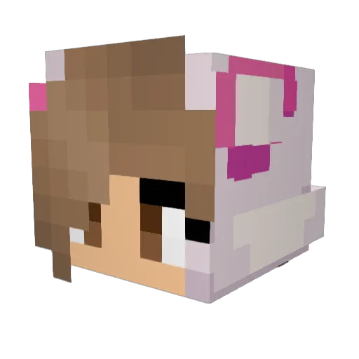 piterxd44 Minecraft avatar head, 3D render