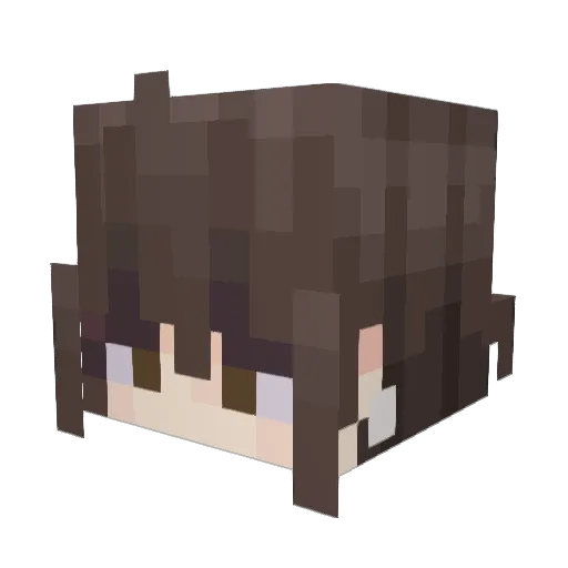 pitheater Minecraft avatar head, 3D render