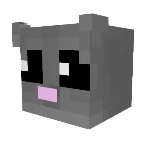 pitielliott Minecraft avatar head, 3D render