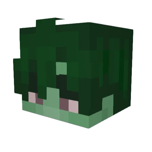 pitoysemen16 Minecraft avatar head, 3D render