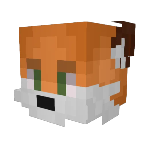 piwinou Minecraft avatar head, 3D render