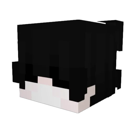 piwnica Minecraft avatar head, 3D render