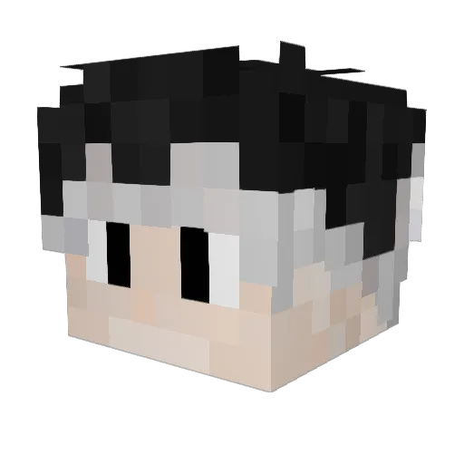 pixasao Minecraft avatar head, 3D render
