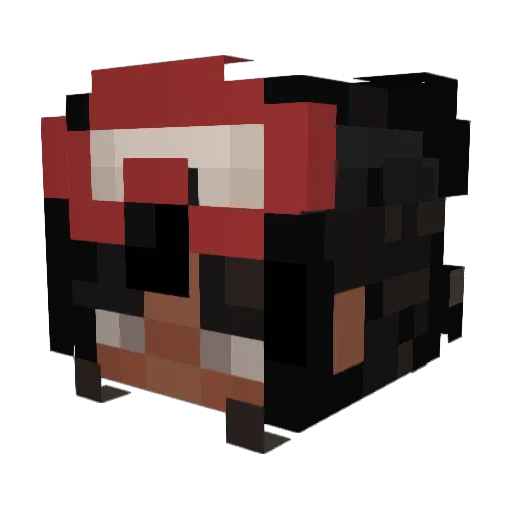 pixelAnna__ Minecraft avatar head, 3D render