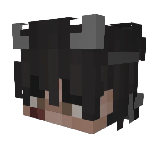 pixelPony3000 Minecraft avatar head, 3D render