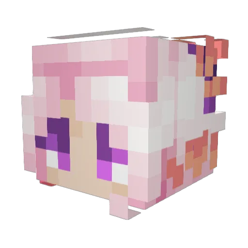pixelbubble Minecraft avatar head, 3D render